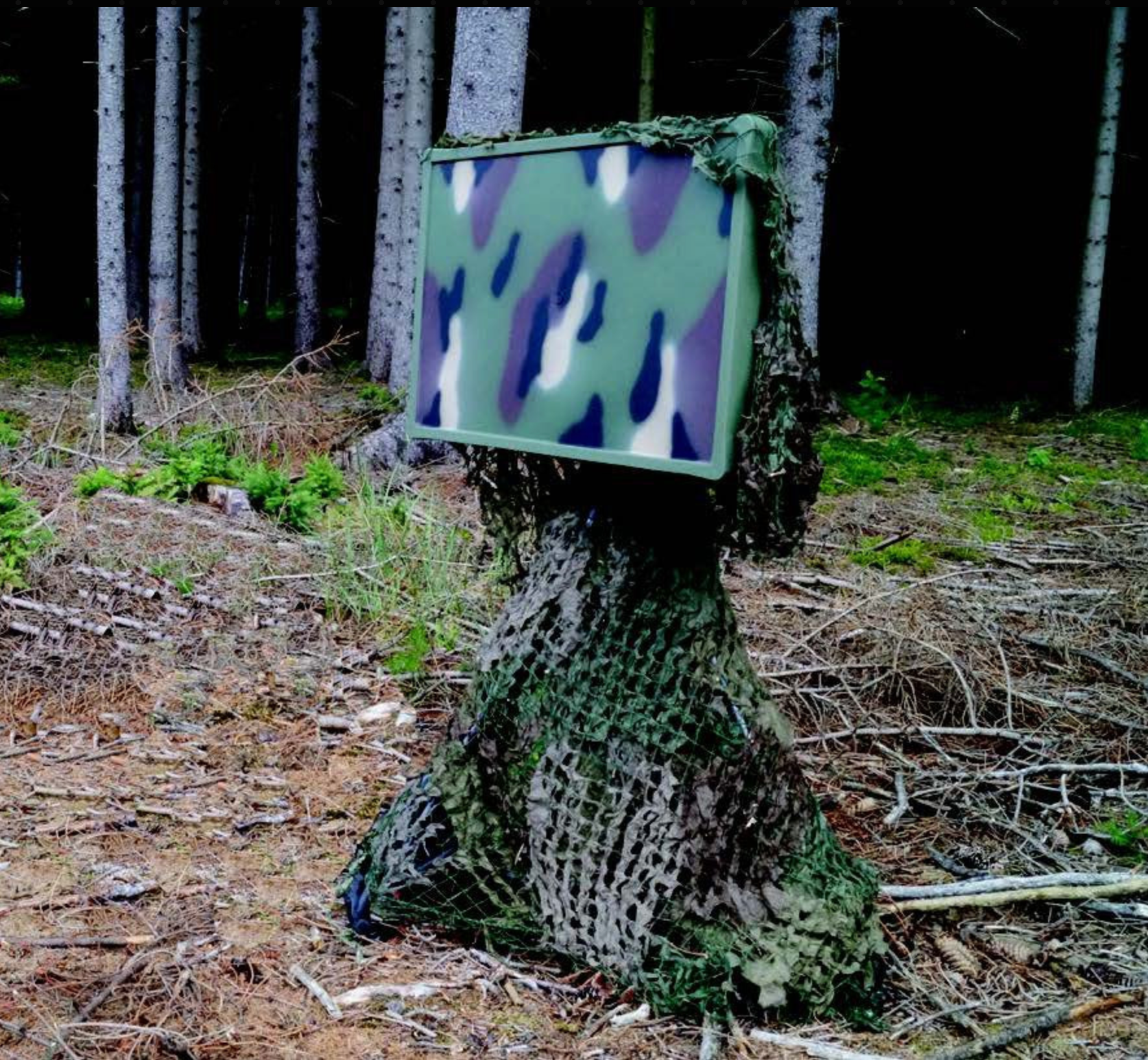 Portable terrestrial radar