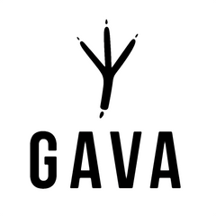 GAVA